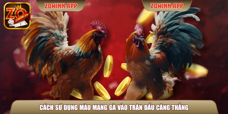 Cách sử dụng màu mạng gà vào trận đấu căng thẳng