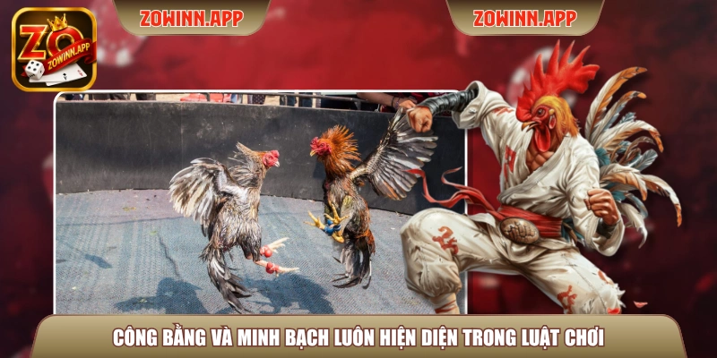 Công bằng và minh bạch luôn hiện diện trong luật chơi
