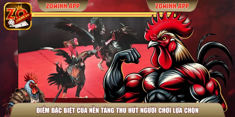 Điểm đặc biệt của Zowin thu hút người chơi lựa chọn