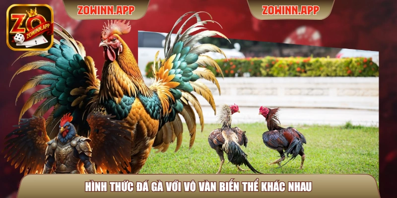 Hình thức đá gà với vô vàn biến thể khác nhau