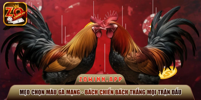 mẹo chọn màu gà mạng